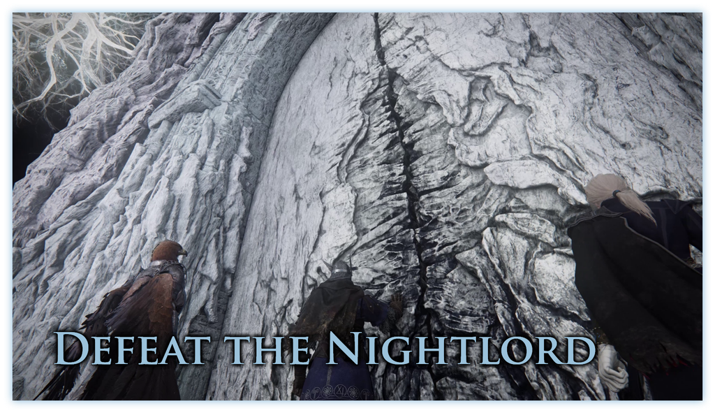 Elden Ring Nightreign for PlayStation 5 EU